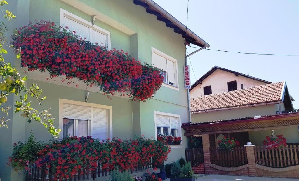 Ana Apartment Gracac  Bagian luar foto