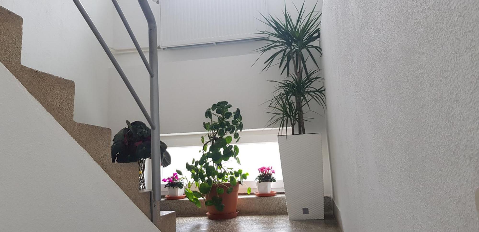 Ana Apartment Gracac  Bagian luar foto